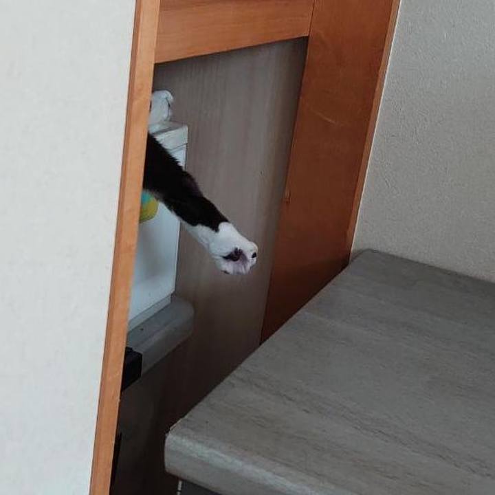 5390dfc4 c721 41a6 9003 11e0770a7887 1656822796682