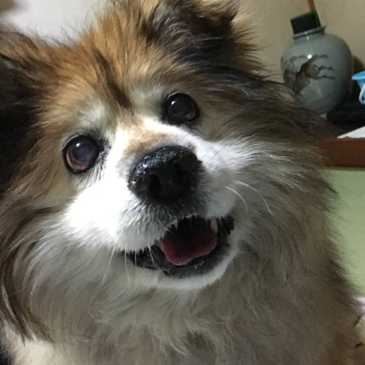 5390fa7e 9581 4f2b b73b f2284d59f25f 1588631799636