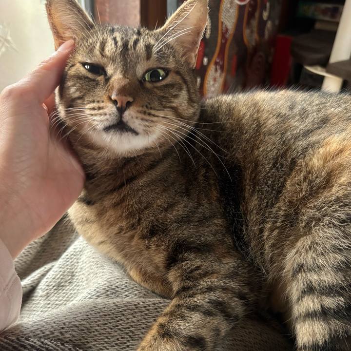 53911f83 c391 4e1b b113 947d6889b340 1762386058378