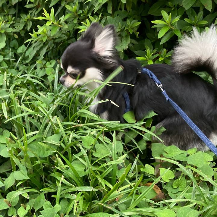 53912e78 6632 41c0 9c5b f74acb3a77a2 1624369494151