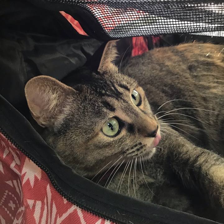 53916688 1337 4ef6 89f7 6e88e0f327b9 1611213004267