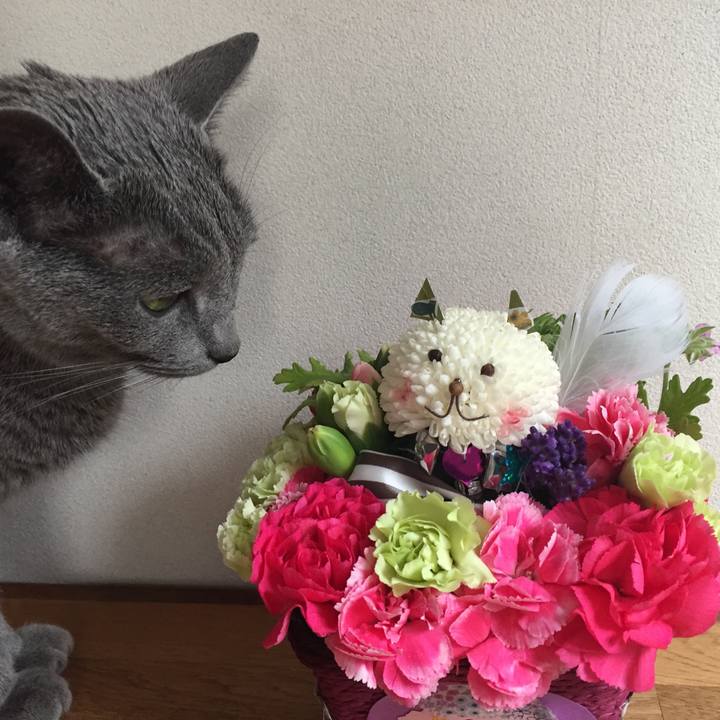 539175fb 0af6 42b7 8683 ab5a968da8f3 1527143457244