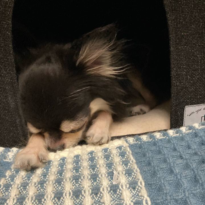 53917cb7 22dd 4043 bb09 f145bbd4193b 1662901989955