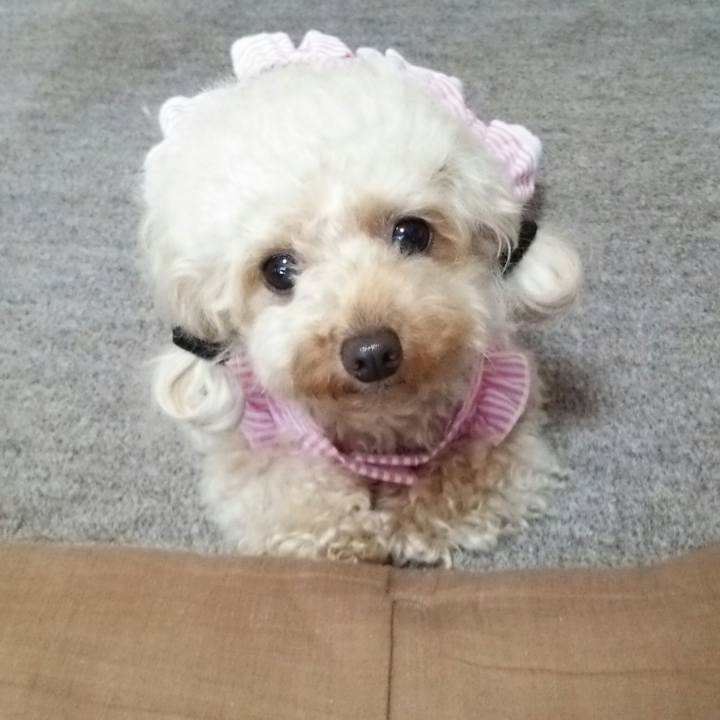 5391a038 6439 4421 9eb3 de798189b817 1536461689313