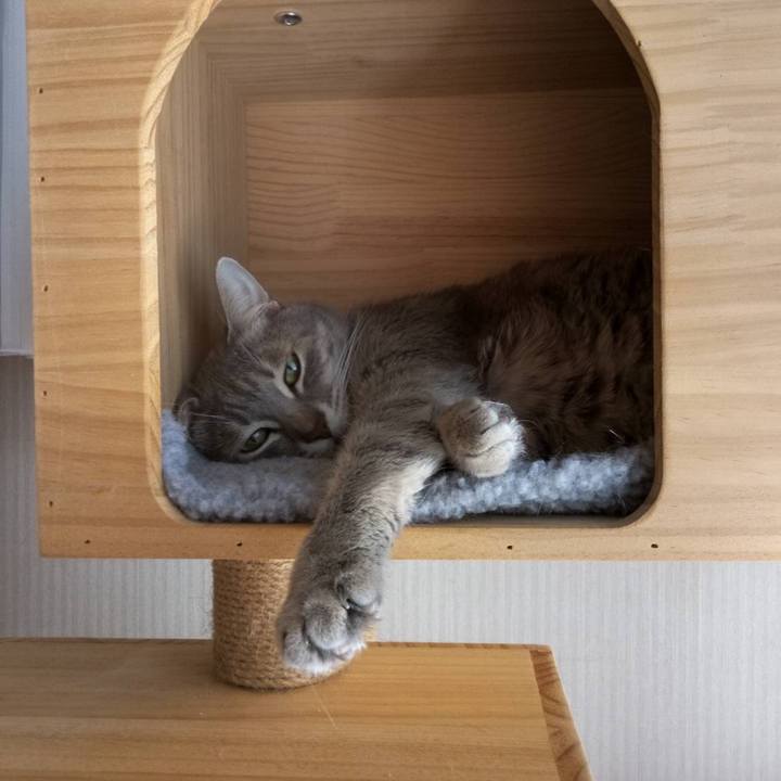 5391c42d e429 4572 9fe1 5928bd3855fe 1633740636960