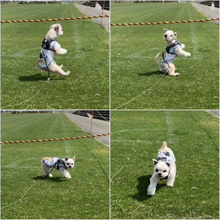 5391f0d1 76ab 47fa 9576 847dedd23a7a 1587892756853