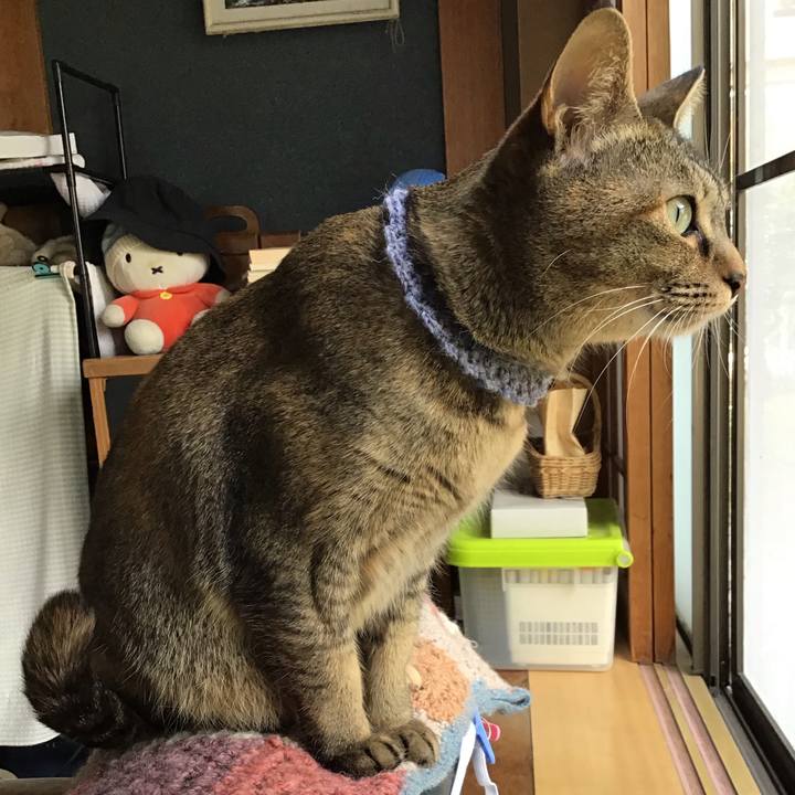 539254d0 ef34 4649 aafb ba99e6f37d89 1616823055673