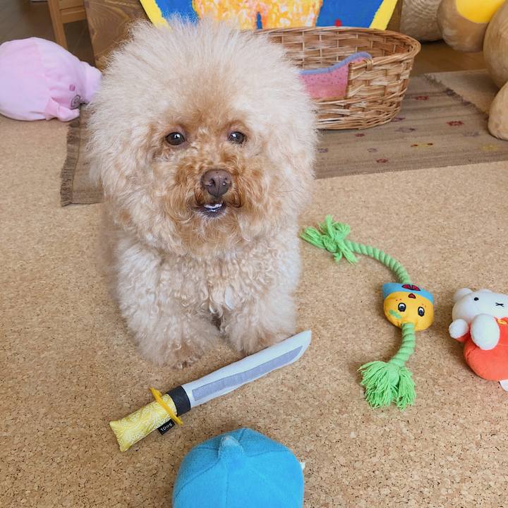 53926684 c018 4d1d a7c9 7b6b764828d5 1535856489535