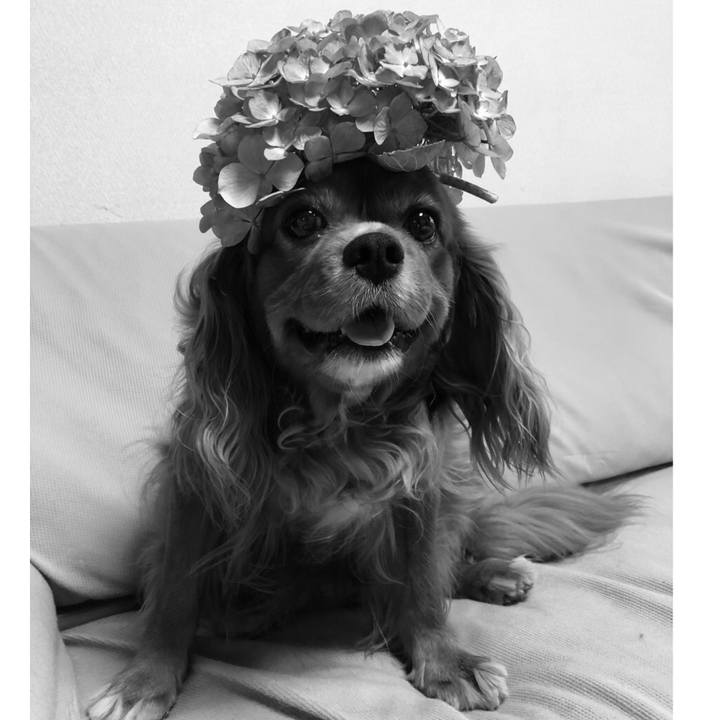 53926df8 efa2 42da 88d0 a552a2f3dfe6 1624189853009