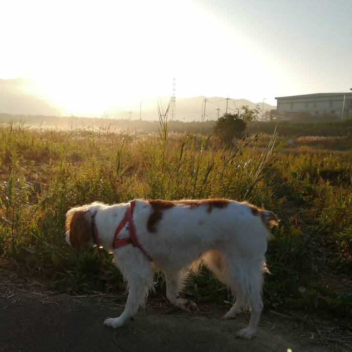 53926ef3 32be 4d07 a895 90dd80fc7bd6 1605744451477