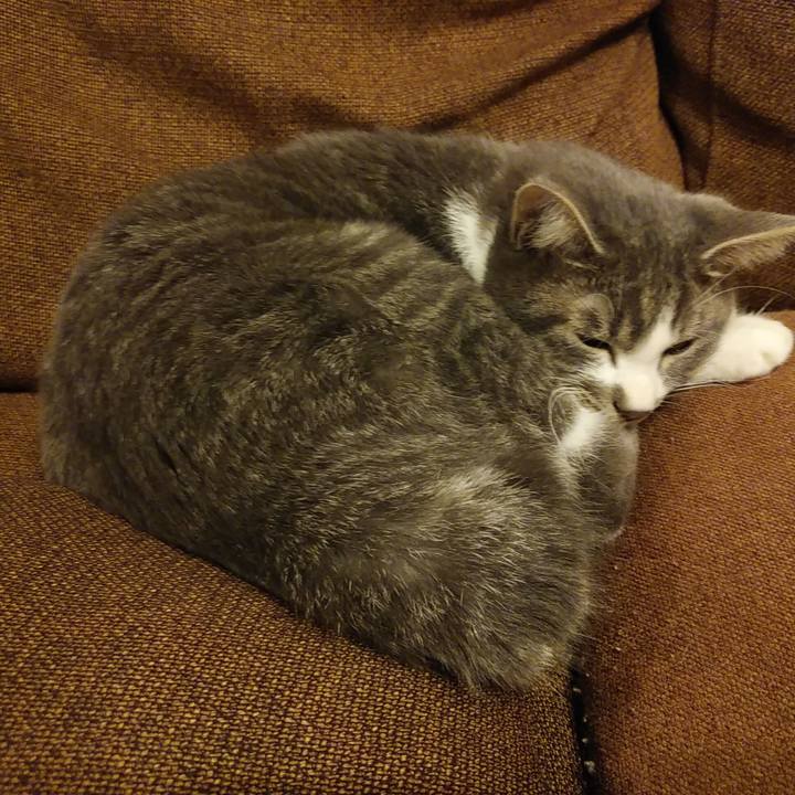 539271f9 5261 4f64 adfc 6d4a24c6750d 1577198859413