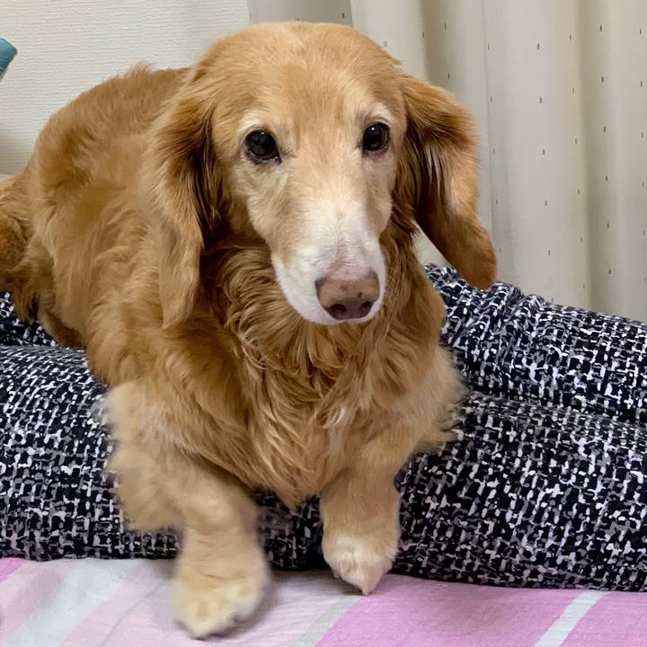 539275d5 5a4a 41a0 9659 ae409bdbc4ca 1612012786221