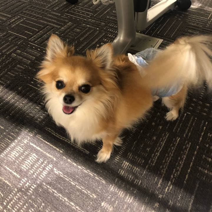 53928279 a379 436b 84d9 755825b3c47c 1572754366903