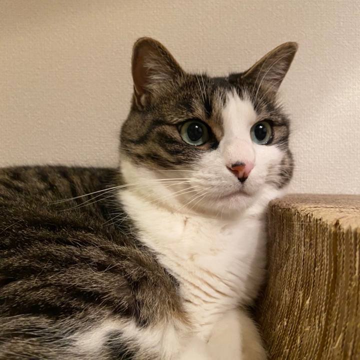 5392bbb6 969d 4fc3 bded 4f030a4a7e1a 1653052784614