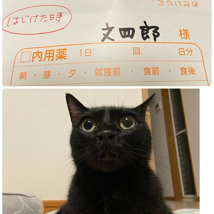 5392bf75 5c31 4705 a98e f0224f8f30df 1696247591853