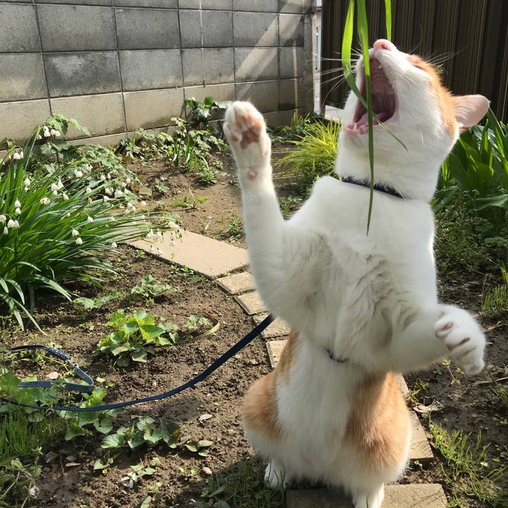 5392cc81 bb11 44eb 9d1a 7aba3851efc1 1525415757599