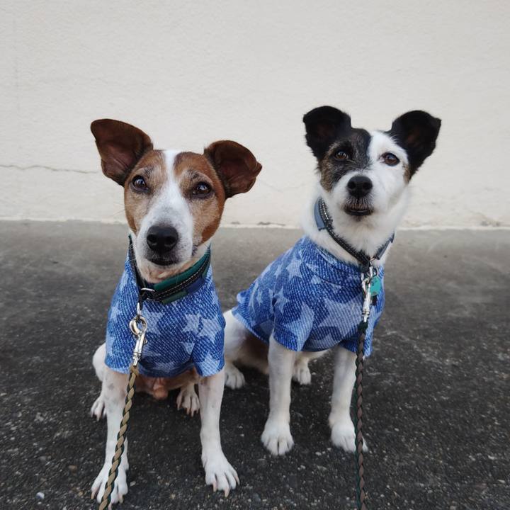 5392fd04 5b80 4b98 9b32 42bf5d2080b7 1756590431752