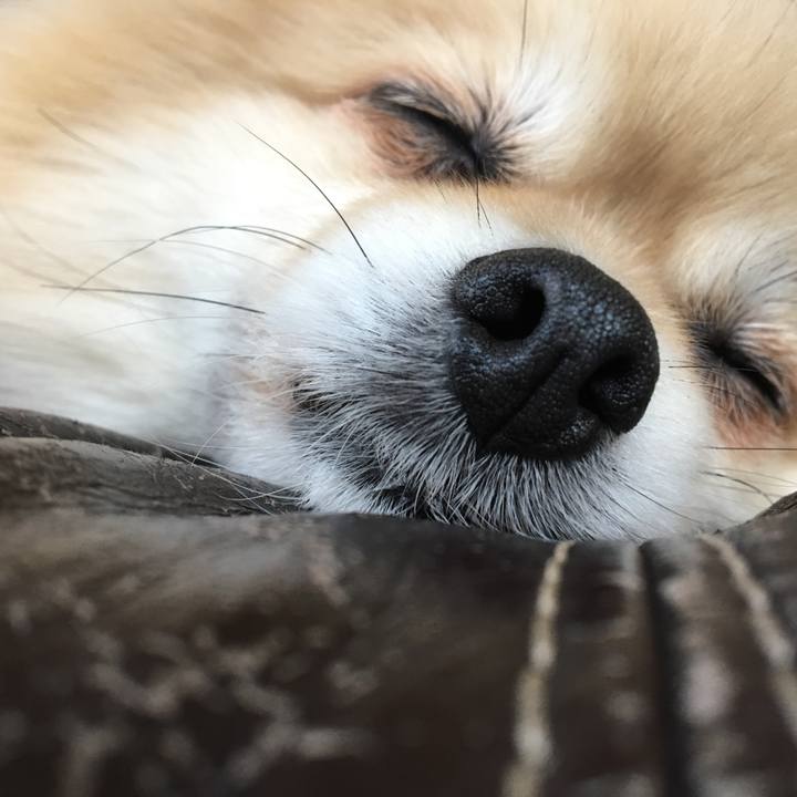 53933ecf b69b 4c1d 8eeb f8dc66064977 1523492008627