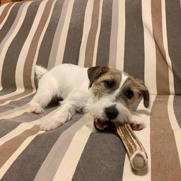 53937fe5 0d2d 42bc 8f3e 79a1d6392a84 1575199510403