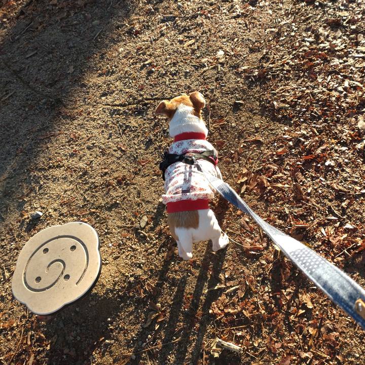 5393a3e4 ec1b 4e96 a7d8 58a9a945cf2b 1766102426651