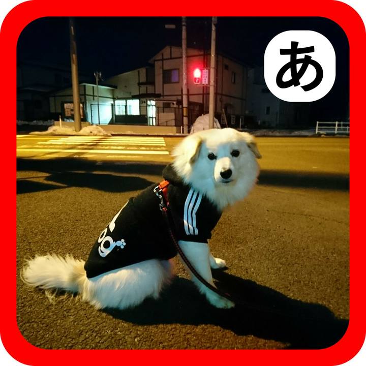 539423d4 419b 4765 bbbd f001873fb5ee 1515359678488