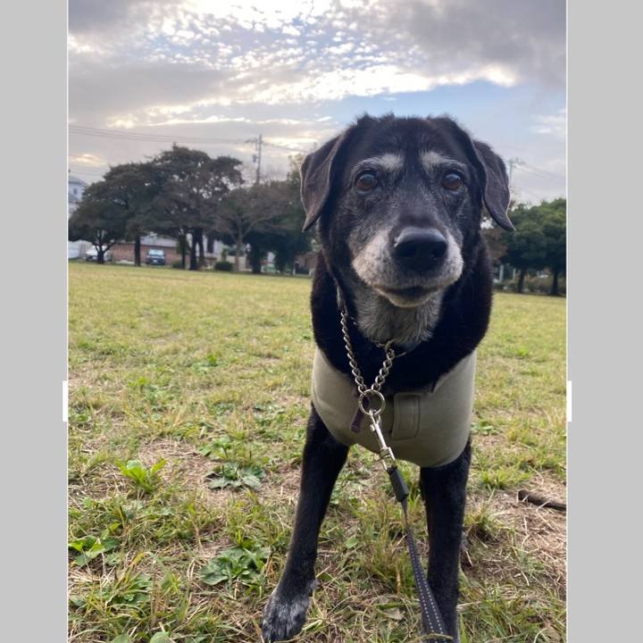 539427ec ba2e 4e17 93e5 7c26717bb891 1731668453238