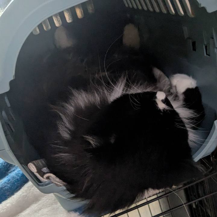 53942d58 4762 4a0c ae2d ad81cb3d7f2d 1752978954940