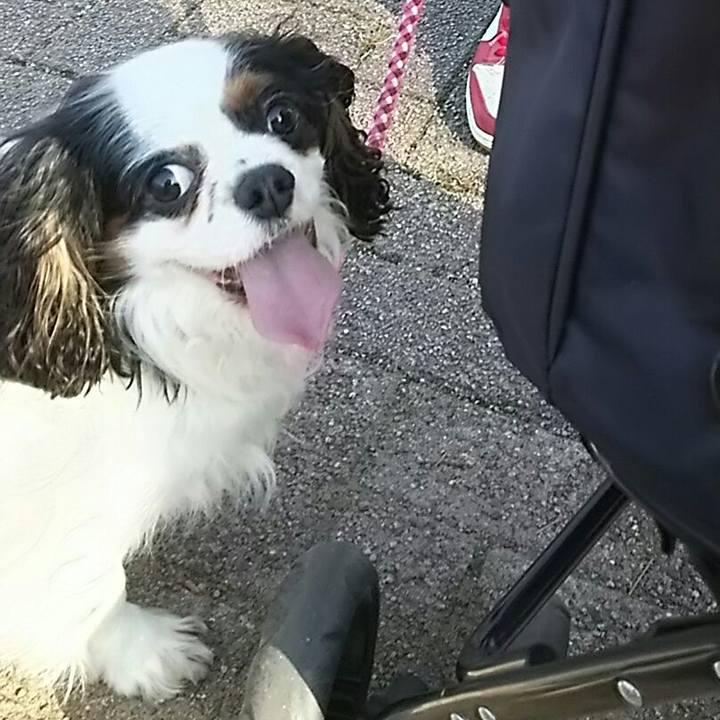 5394350e 810d 46a7 837d 947698aa8e63 1522337263369