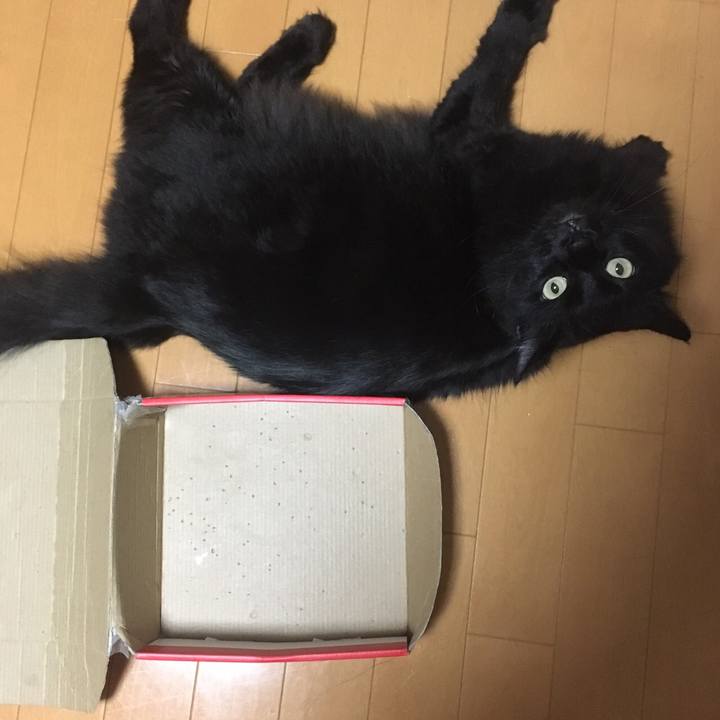 53946c12 4683 49f5 82ff 67be93fe4d82 1507990760455