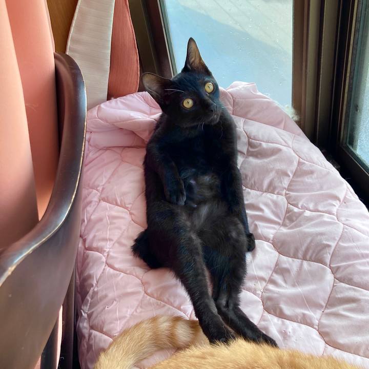 539480d0 ffcc 4d33 8819 3d41a349b80c 1630988872333