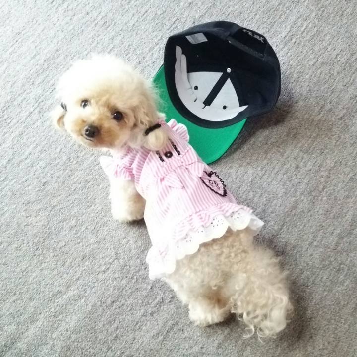 5394871c 1fd0 42c2 a01f f1d1ff9c57df 1536144441951