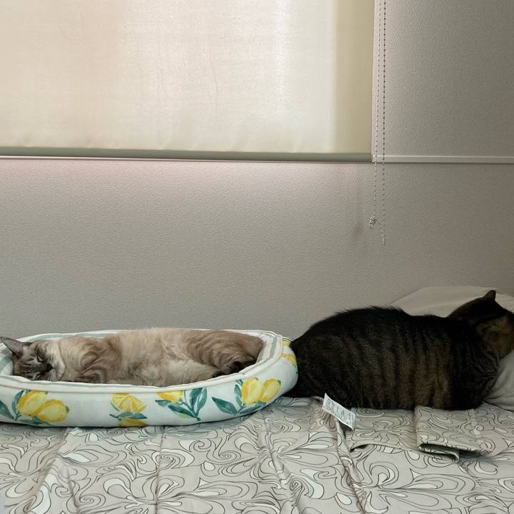 5394949d dffc 474b b2a9 b143846d5962 1664773313545