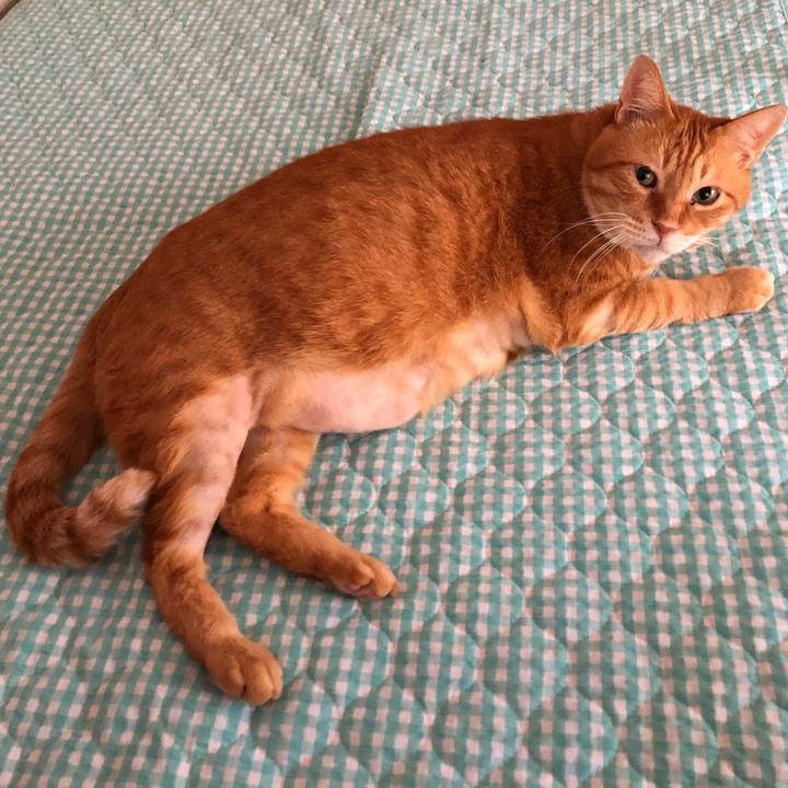 539496e4 52c9 4b2d 8d7d c0e0739242ec 1656722007288