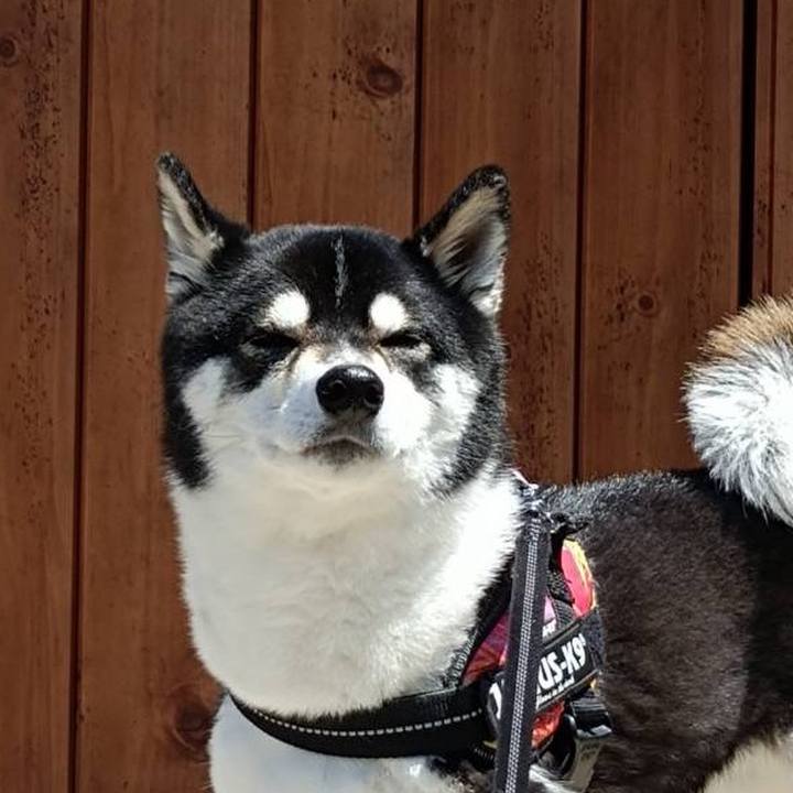 5394c037 9ce8 4ed2 aedf fe54bf35f093 1688723928161