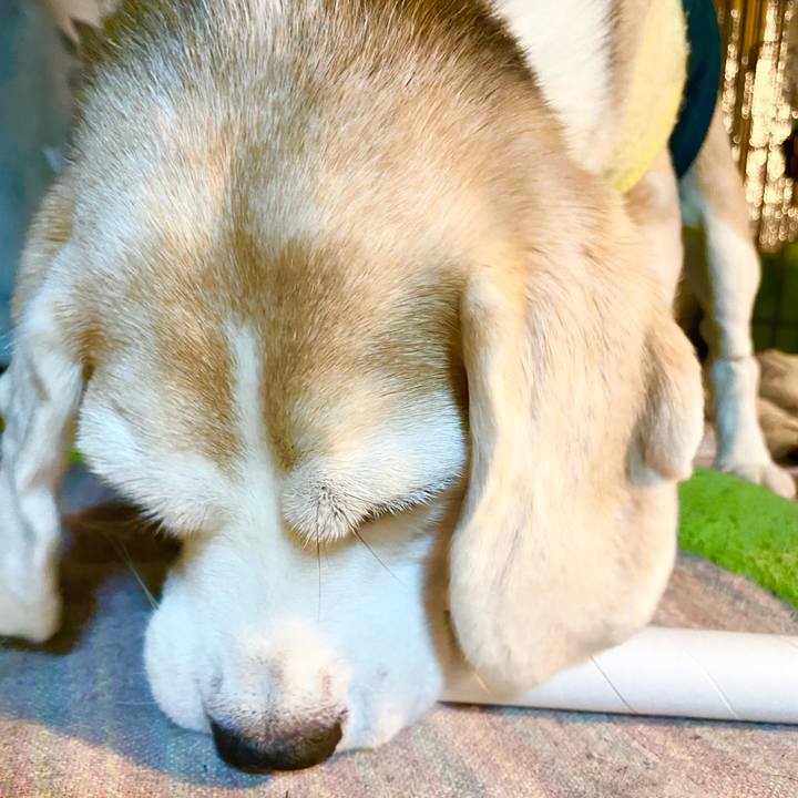 5394c1b2 3313 4182 8d63 446e3d33f041 1661642836956