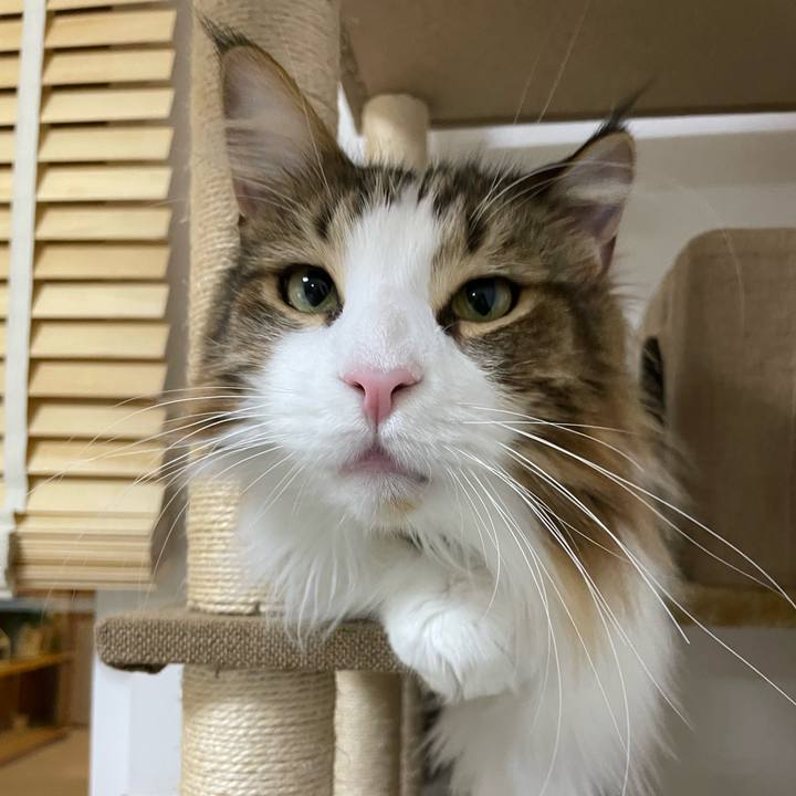 5394c30f c94d 4047 95b8 7e120aa6dd18 1672083596235