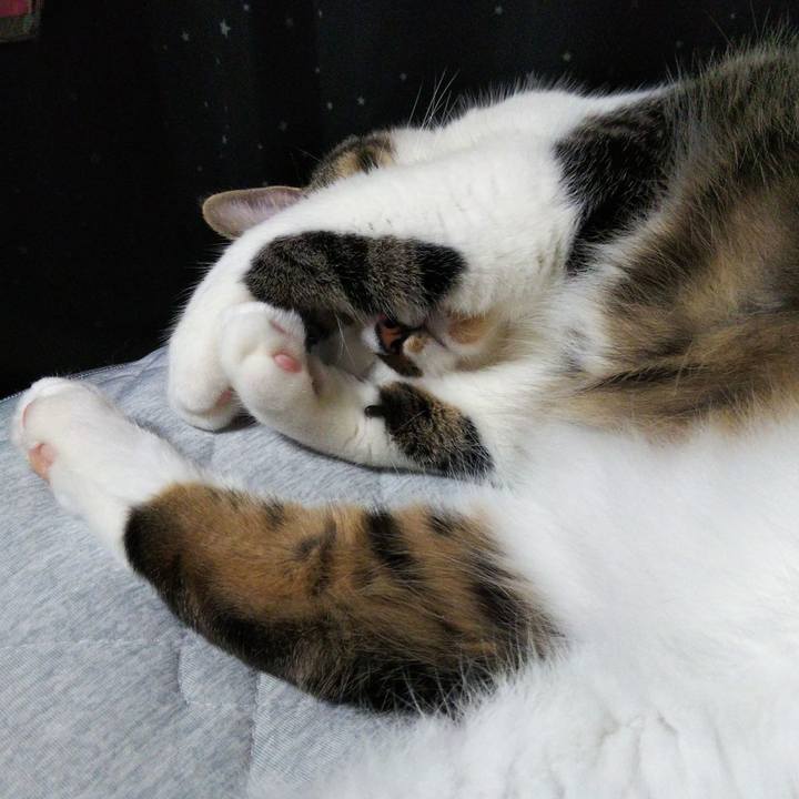 5394c908 5241 4ed2 891e 83b9067900b7 1630840874213