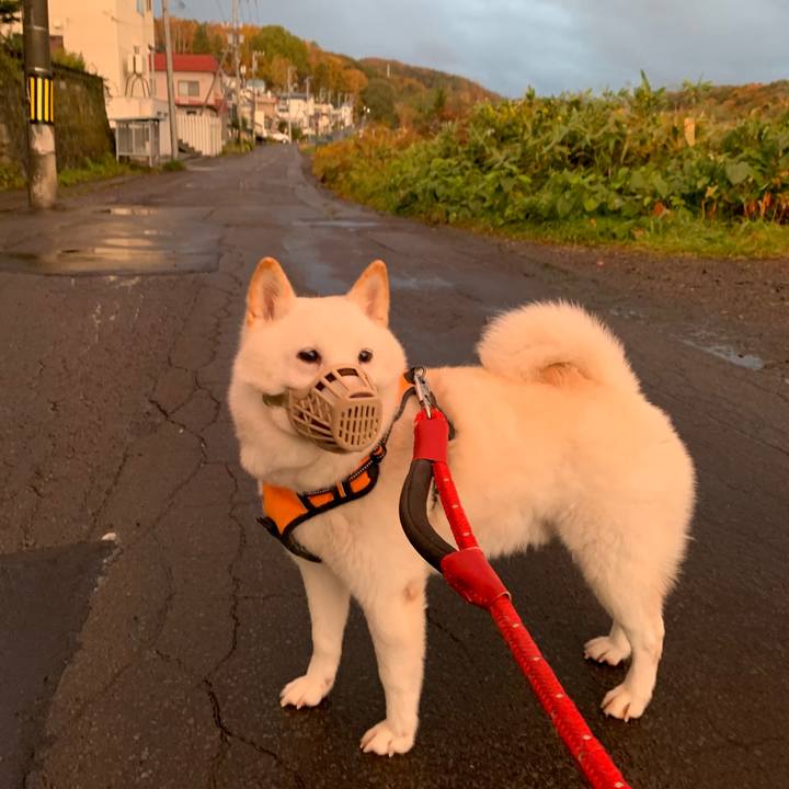 5394e9a7 a280 4711 8d04 3053bc2cb5bf 1666559599107