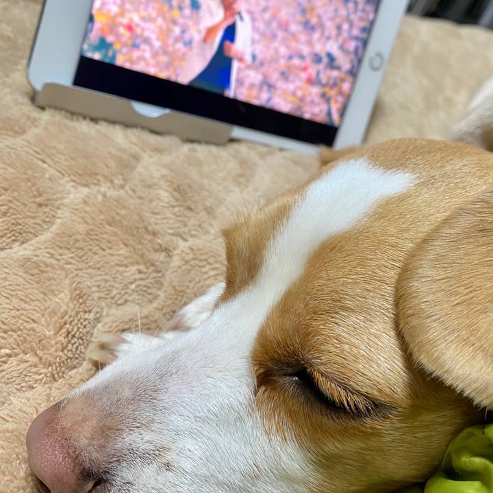 53952701 f47d 4907 973c c1a9a6173301 1587354260558