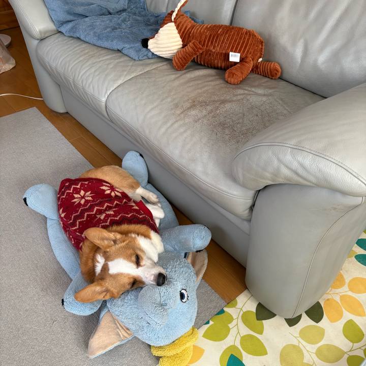 53953e27 9b23 4b50 bee3 e29d6b9fa768 1768963524255