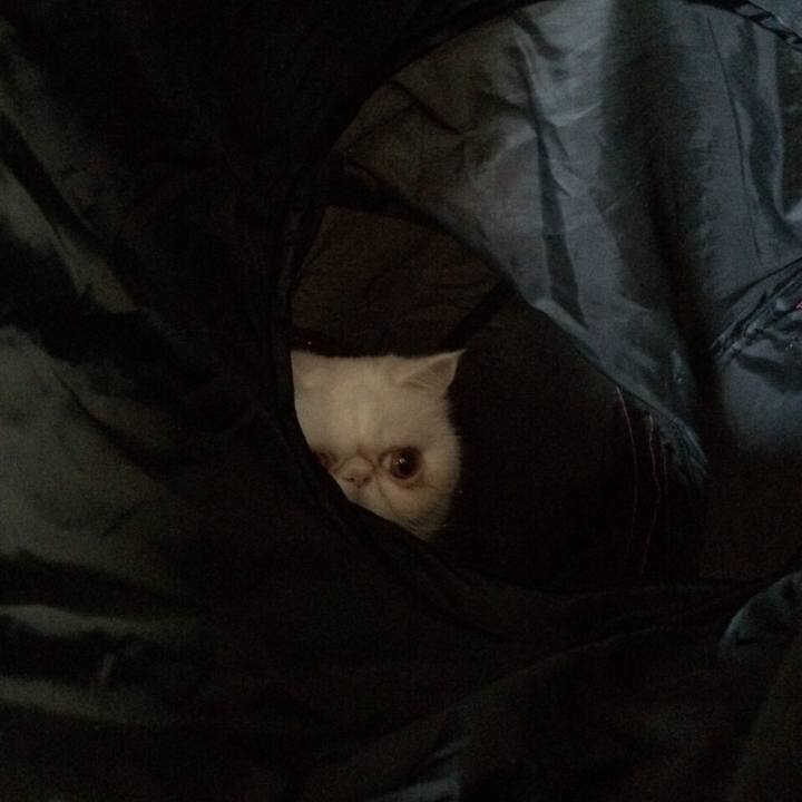 53955f2f 708e 406c b769 feafc9cdaf35 1553260412437