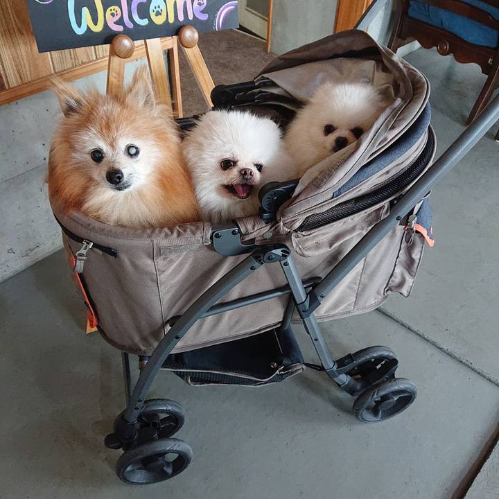 53956f3a a9ec 4028 a8d6 1da4448acc54 1659480986539