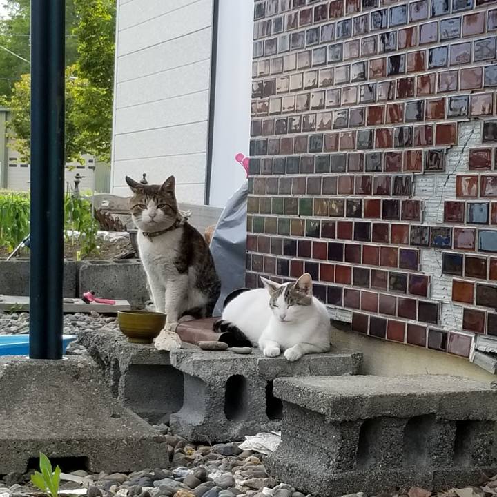 5395cdee e60b 427a be53 01329730aa1f 1591008160793