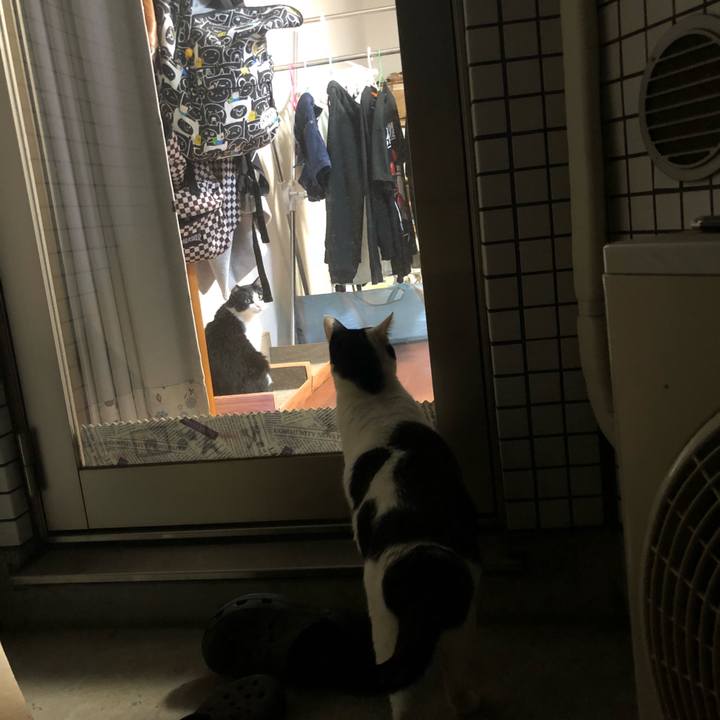 53960988 721b 4f92 803d 396598a788dc 1551186191127