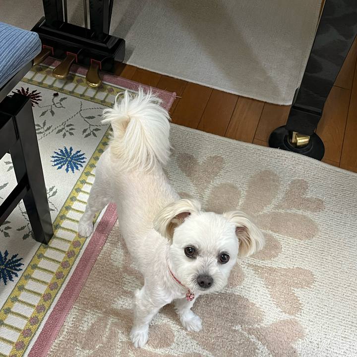 53960fb7 b7b2 42eb ac09 f40e1a40f0da 1662016046734