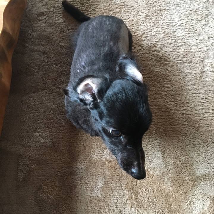 539667c0 a2d1 4b83 84d4 d34840072076 1549493016964