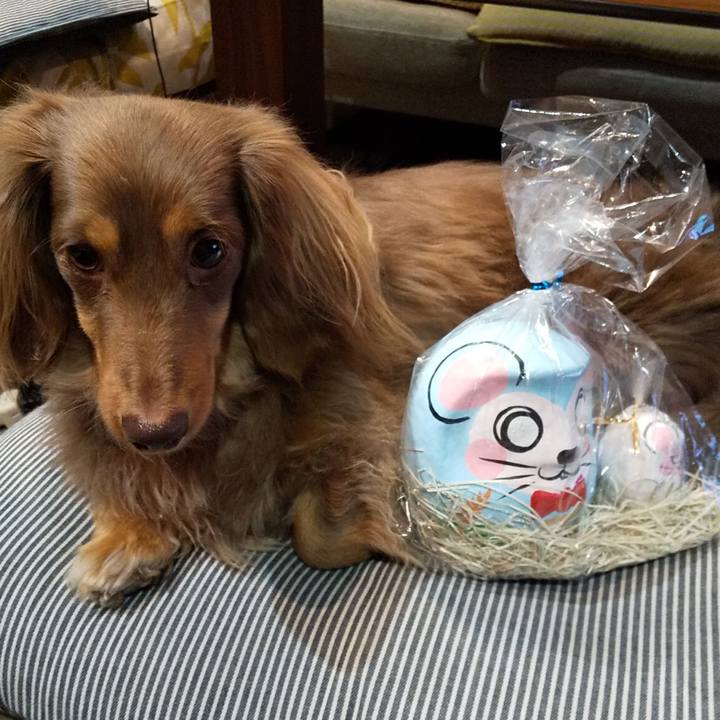 53966af4 a9c0 4b54 8fb1 c77c7a475859 1578566897224