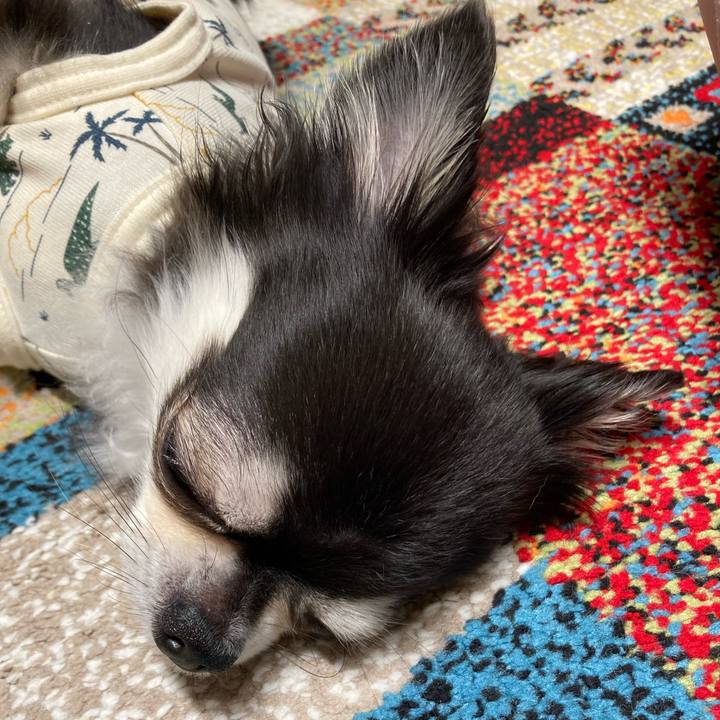 5396c2b6 dada 4b80 b80e b37f6be83b1a 1716047457200