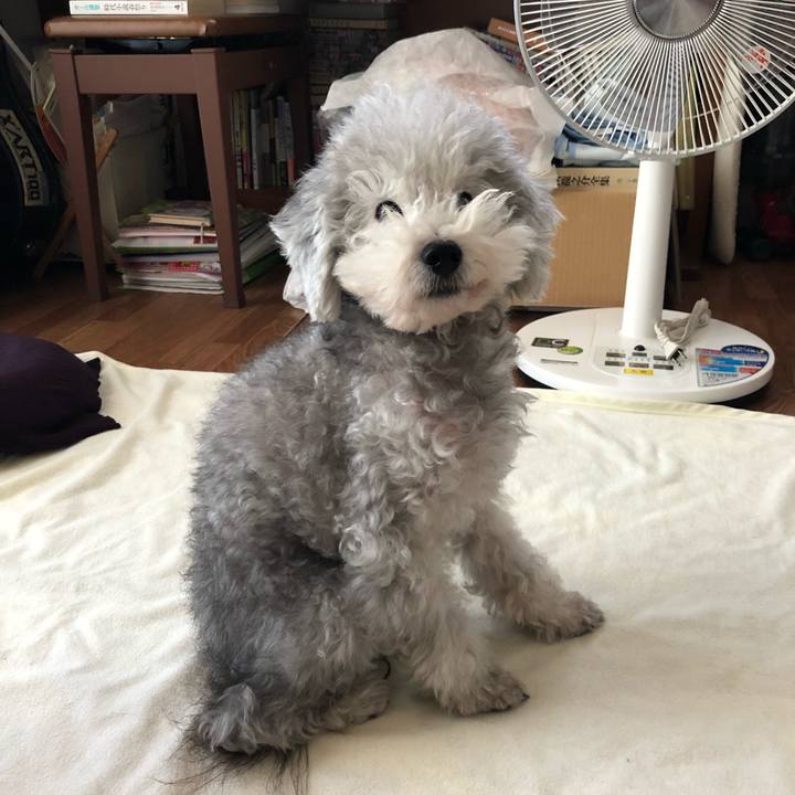 53976d0b a1cc 4df2 bb41 8e6575a20caa 1540422839358