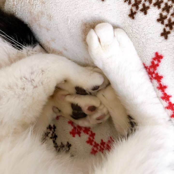 53976e4d 5103 4947 a994 4f32a4ed4f48 1620037707362